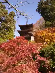 国宝 大法寺の塔