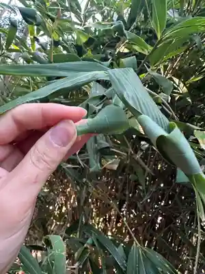 常陸第三宮 吉田神社(茨城県)