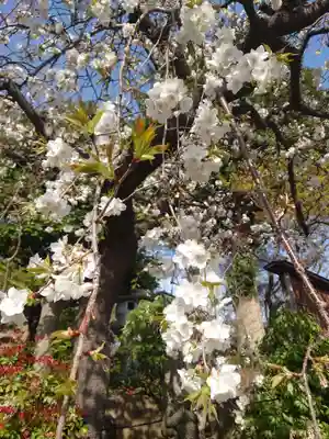 常泉寺(神奈川県)