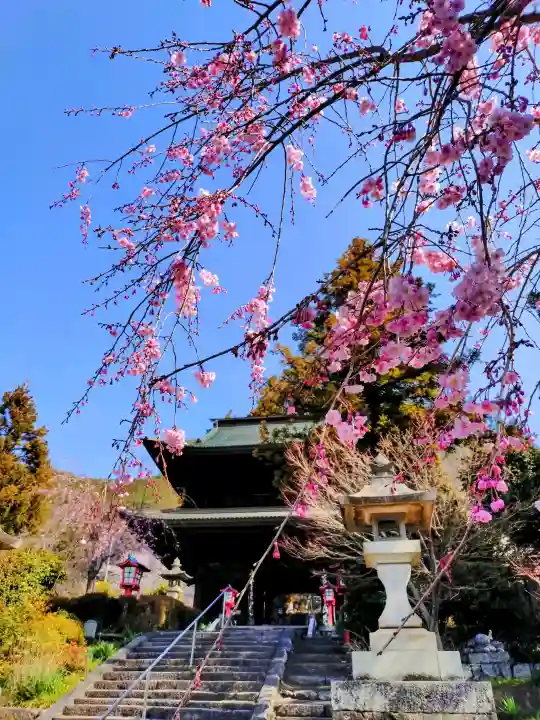 大善寺(山梨県)