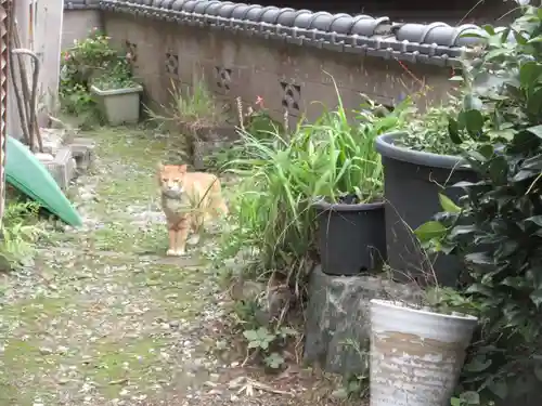 光珠院(埼玉県)