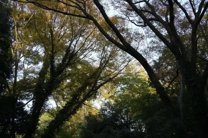 明治神宮(東京都)