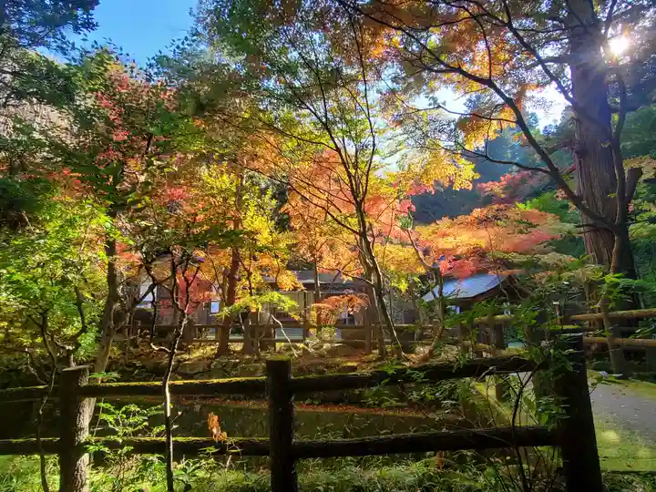 五所駒瀧神社(茨城県)