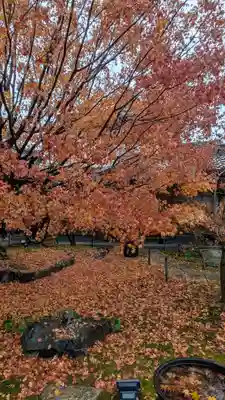勝林寺(京都府)