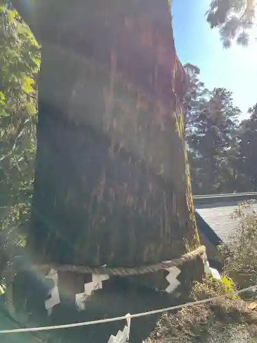 玉置神社の{uncategorized: "未分類", other: "その他", undefined: "問題あり", building: "その他建物", grave: "お墓", sacred_gate: "鳥居", guardian: "狛犬", statue: "像", buddha: "仏像", history: "歴史", nature: "自然", garden: "庭園", animal: "動物", pagoda: "塔", temizu: "手水舎", mountain_gate: "山門・神門", sanctuary: "本殿・本堂", subordinate: "末社・摂社", art: "芸術", scenery: "景色", jizo: "地蔵", ema: "絵馬", goshuin: "御朱印", omikuji: "おみくじ", items: "授与品その他", amulet: "お守り", goshuincho: "御朱印帳", eats: "食事", festival: "お祭り", votive_dance: "神楽", shichigosan: "七五三参", wedding: "結婚式", experience: "体験その他", initially: "初詣", around: "周辺", anti_infection: "感染症対策"}