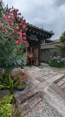 觀音寺（観音寺）(京都府)