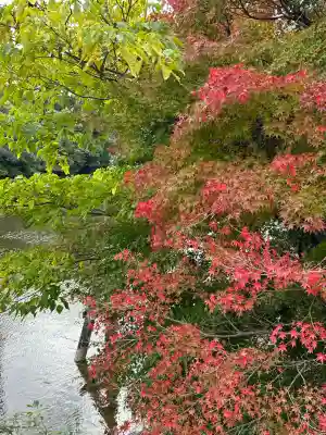 伊勢神宮内宮(三重県)
