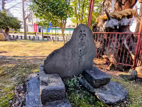神明大神（中丸子神社）(神奈川県)