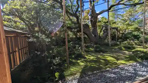 宝泉院(京都府)