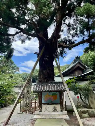 極楽寺(徳島県)