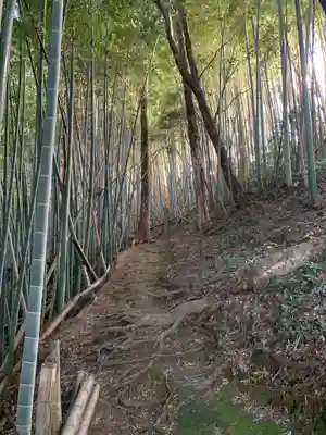 諏訪大神(千葉県)