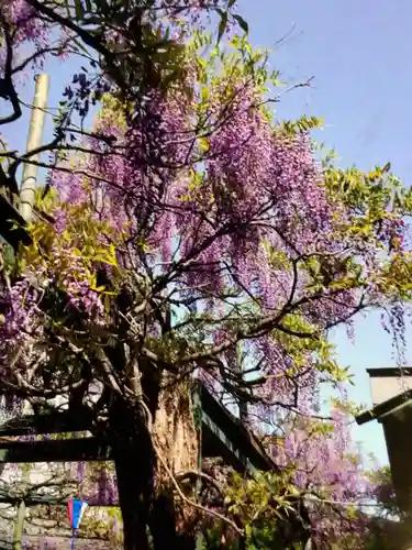 國領神社(東京都)