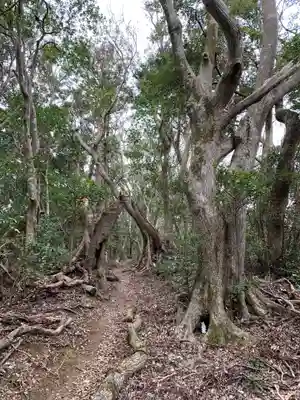 浅間神社の自然