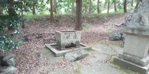 小山神社の狛犬