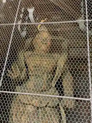 大宝寺(愛媛県)