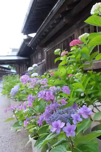 十日恵比須神社(福岡県)