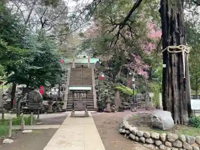 駒込富士神社(東京都)