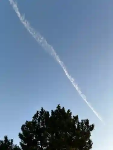 御嶽山 白龍神社の{uncategorized: "未分類", other: "その他", undefined: "問題あり", building: "その他建物", grave: "お墓", sacred_gate: "鳥居", guardian: "狛犬", statue: "像", buddha: "仏像", history: "歴史", nature: "自然", garden: "庭園", animal: "動物", pagoda: "塔", temizu: "手水舎", mountain_gate: "山門・神門", sanctuary: "本殿・本堂", subordinate: "末社・摂社", art: "芸術", scenery: "景色", jizo: "地蔵", ema: "絵馬", goshuin: "御朱印", omikuji: "おみくじ", items: "授与品その他", amulet: "お守り", goshuincho: "御朱印帳", eats: "食事", festival: "お祭り", votive_dance: "神楽", shichigosan: "七五三参", wedding: "結婚式", experience: "体験その他", initially: "初詣", around: "周辺", anti_infection: "感染症対策"}