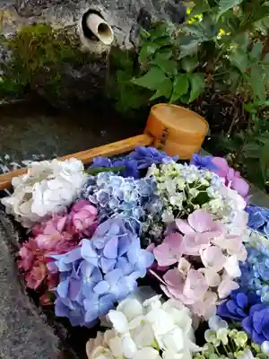 本郷氷川神社(東京都)