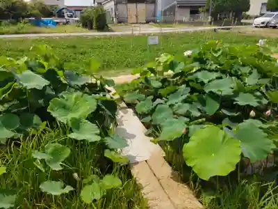 雲龍山 本證寺(愛知県)