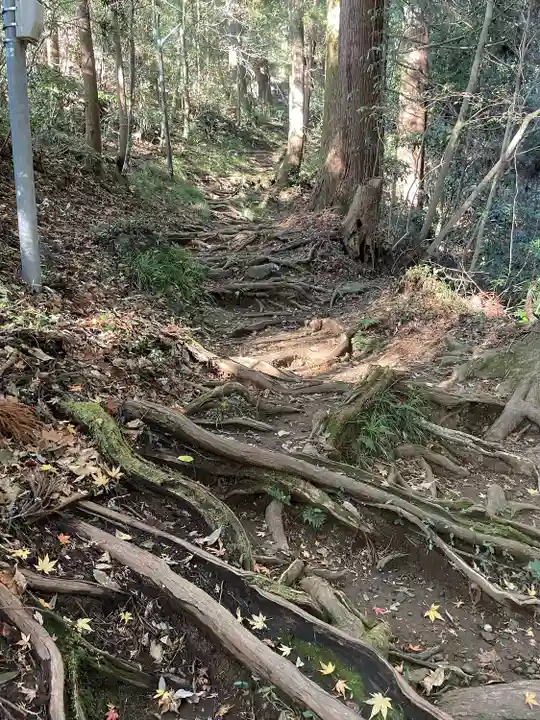 西金砂神社(茨城県)
