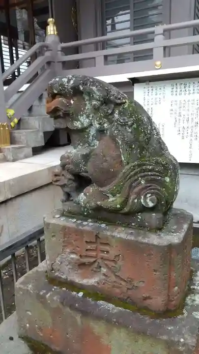 柏神社の狛犬