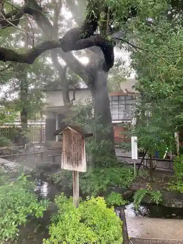 秩父神社の自然