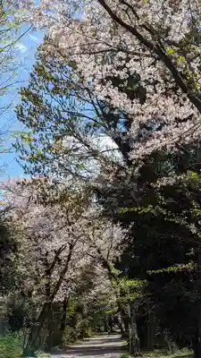 雙栗神社(京都府)