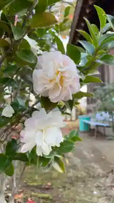 余部神社遥拝所(大阪府)