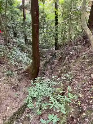 宝登山神社(埼玉県)