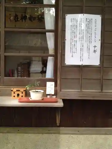 熊野三所神社のその他建物