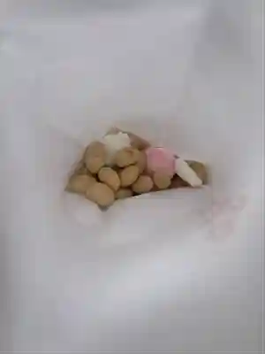 宝登山神社(埼玉県)