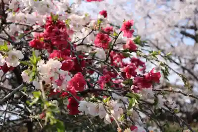 法華寺(奈良県)