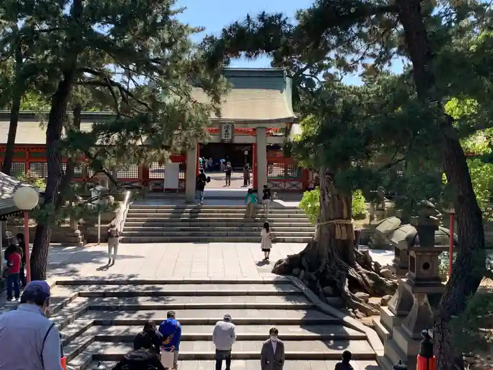住吉大社の山門・神門