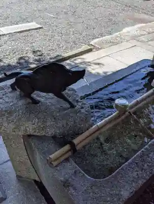 摩利支天堂 禅居庵(京都府)