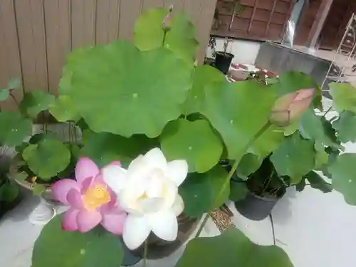 全忠寺(愛知県)