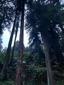 大宮温泉神社(栃木県)(2023年10月11日(水) 13時51分00秒投稿)