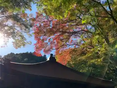 普門寺(切り絵御朱印発祥の寺)のその他建物