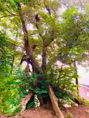 皇産霊神社(茨城県)