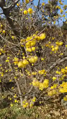 横浜　西方寺(神奈川県)