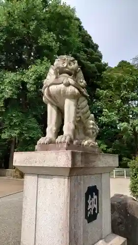 白山比咩神社の狛犬