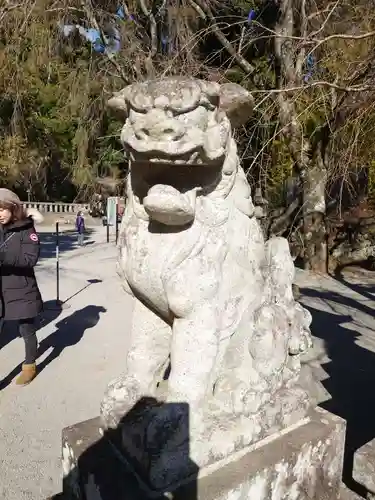 伊豆山神社の狛犬