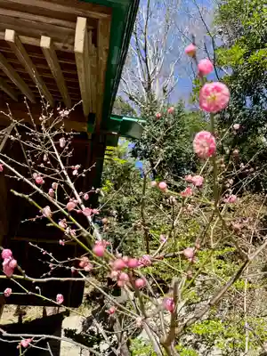 上野毛稲荷神社(東京都)