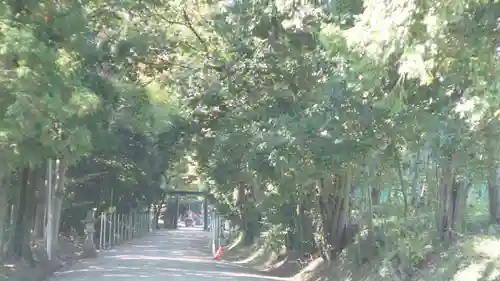 大和神社(奈良県)