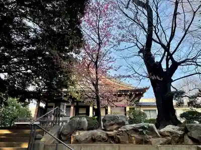 長仙寺(東京都)