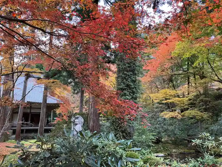 三千院門跡の自然