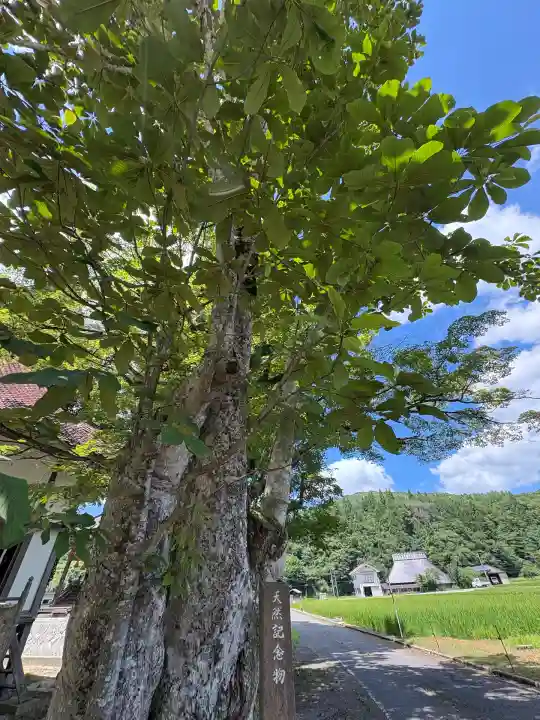 岡田神社(広島県)