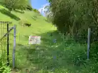 大杉神社(千葉県)