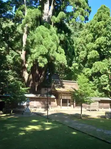 若狭姫神社（若狭彦神社下社）(福井県)