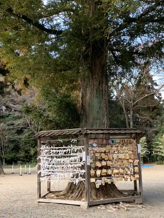 鷲宮神社の絵馬